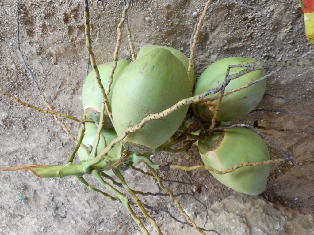 Natural Snacking in&nbsp;Trinidad