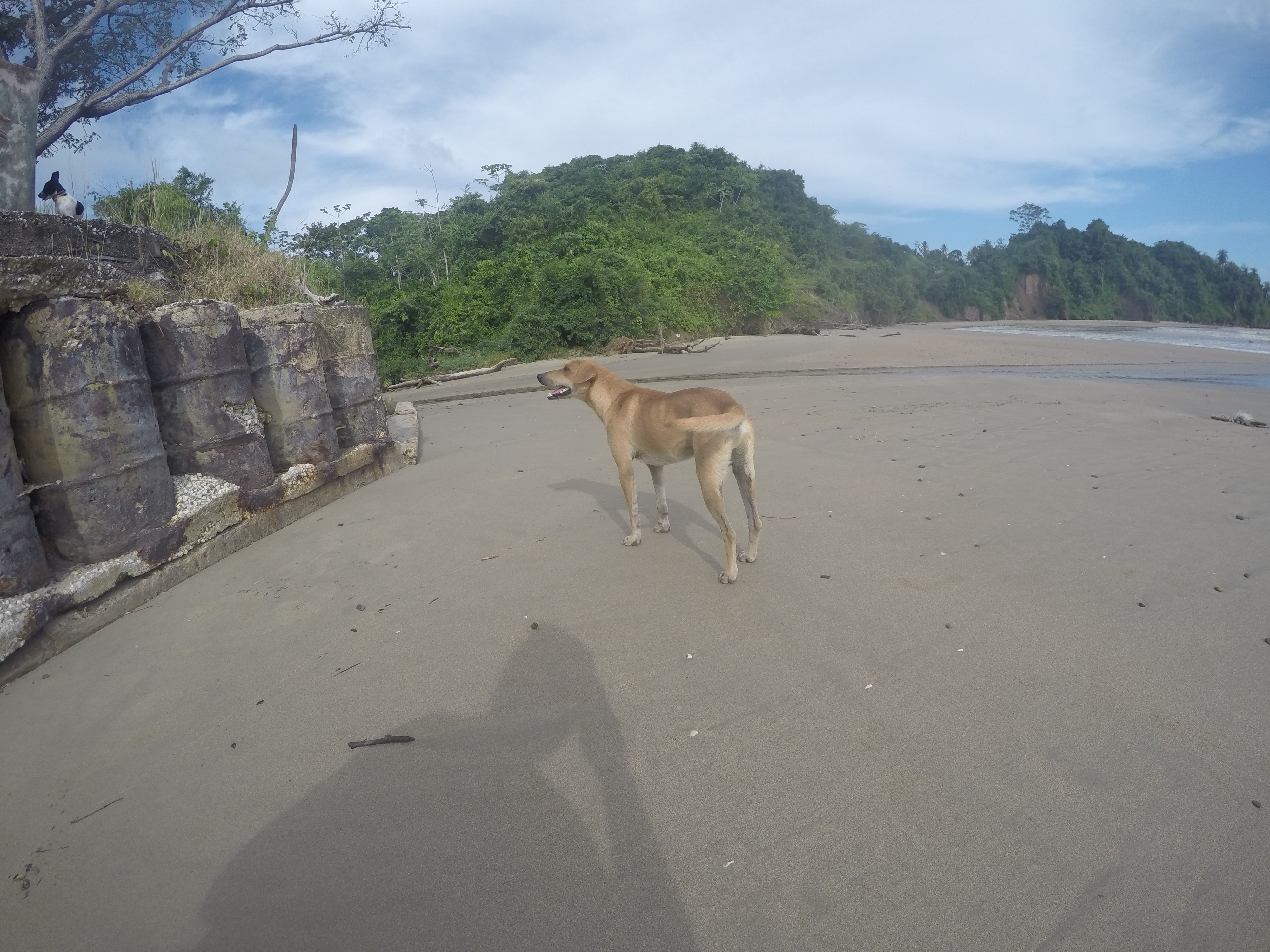 DCIM100GOPROG0030111.