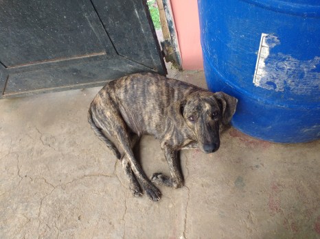 IMG_20151214_085859384