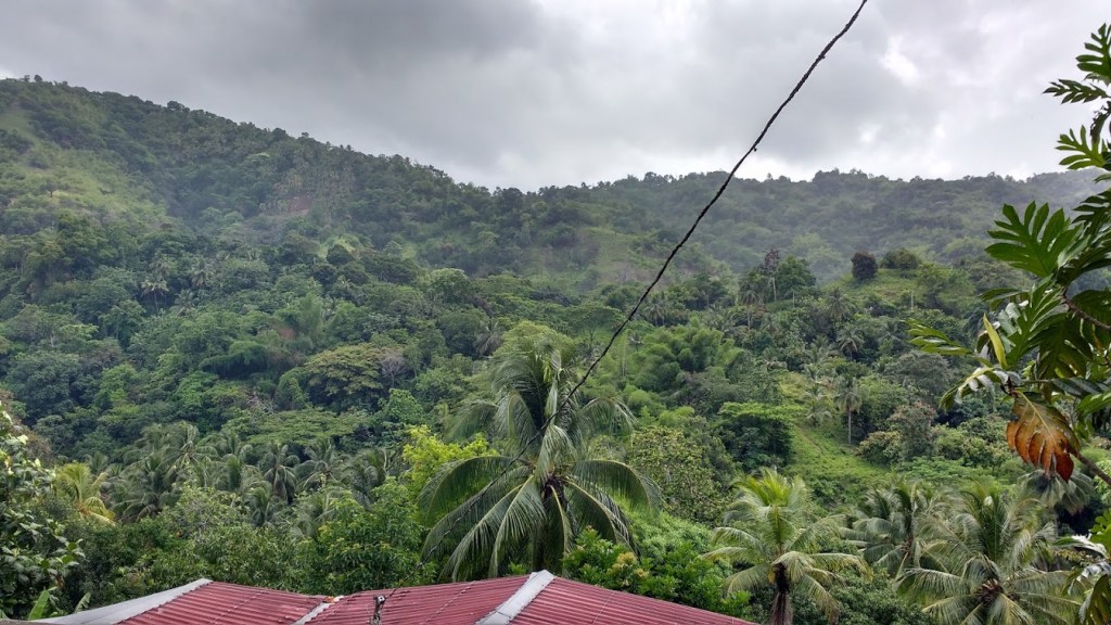 Sunning Hill, Jamaica