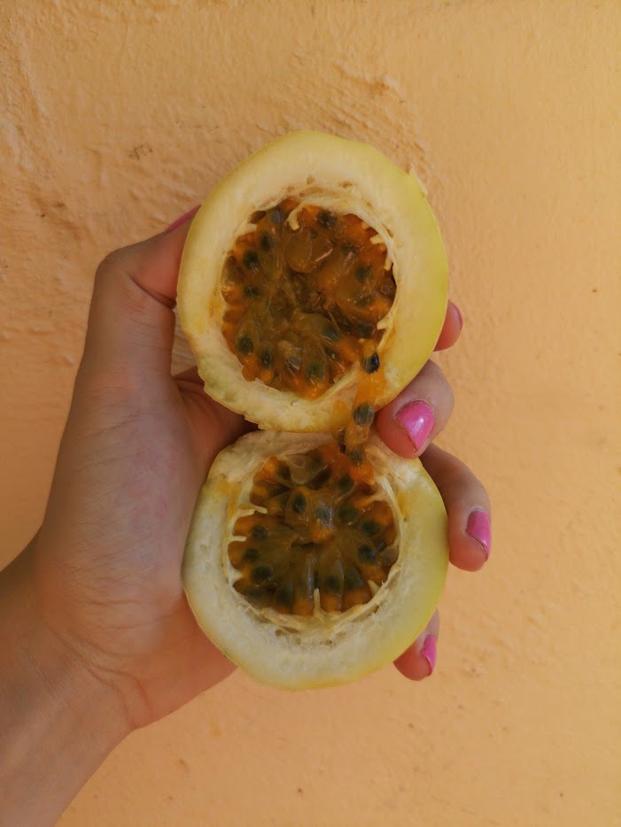 Vegan Eating in St.&nbsp;Lucia