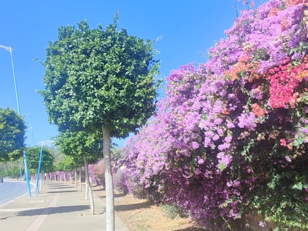 Morocco diaries 10:&nbsp;Safi